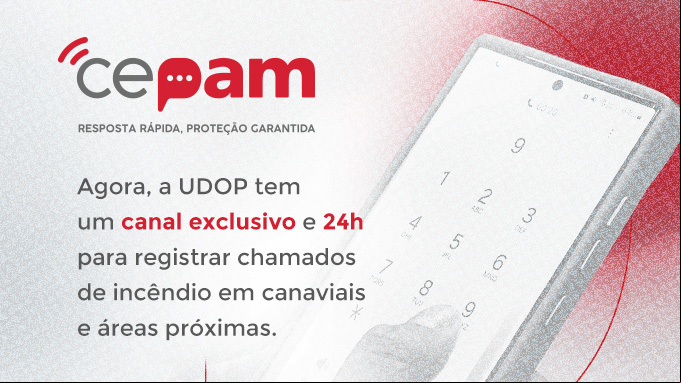 Foto Notícia