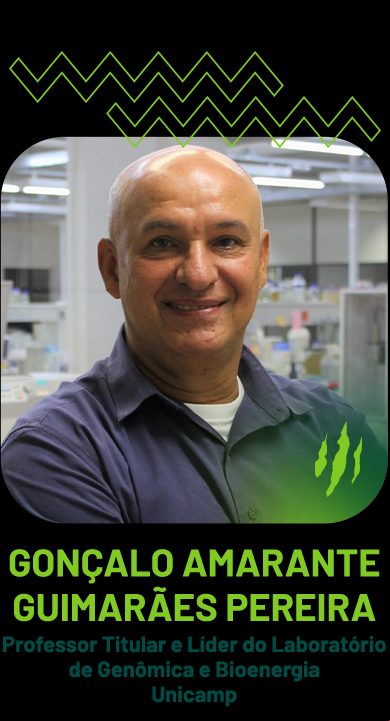 Gonçalo Amarante Guimarães Pereira