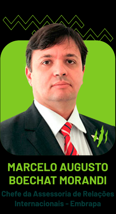 Marcelo Augusto Boechat Morandi