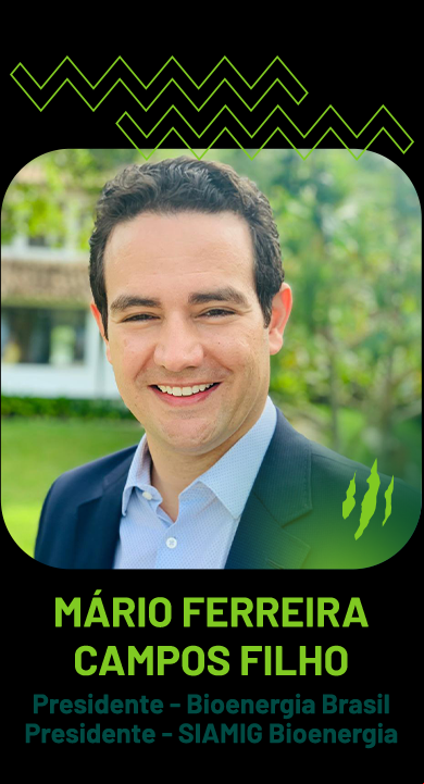 Mário Ferreira Campos Filho